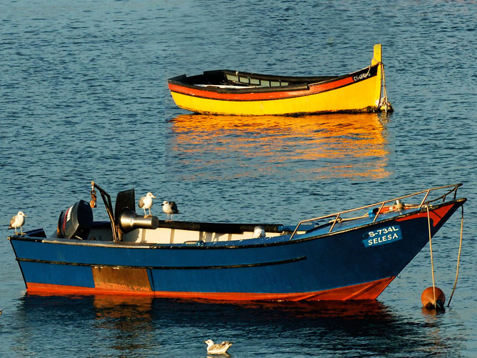 Two-Different-Boats